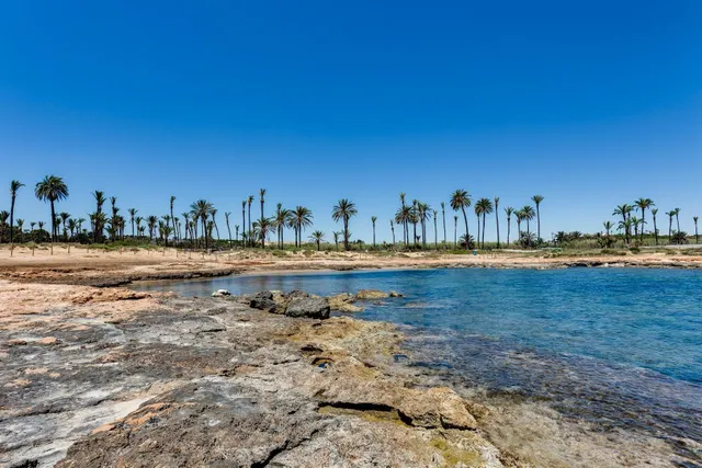 CHALET CON PISCINA PRIVADA EN LA ZENIA - PLAYA FALAMENCA (ORIHUELA COSTA) — 41
