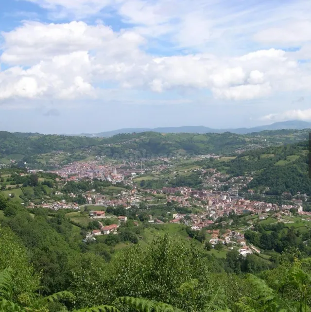 TERRENO URBANO EN VENTA EL ENTREGO ASTURIAS - foto 5