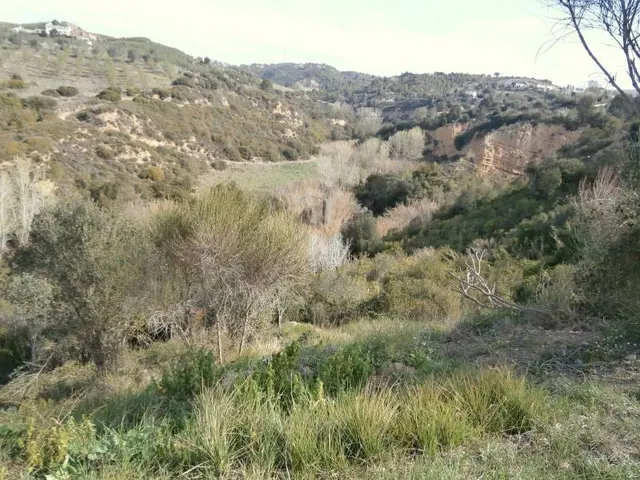 TERRENO EN CASTELLBIBAL EN ZONA CAN NICOLAU (ENTRE CASTELLBISBAL Y MARTORELL) — 7