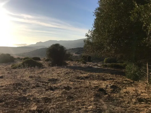 Se vende parcela en Bolonia — 6