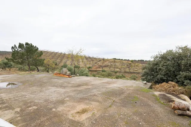 Magnífica finca de 400 olivos en Monachil — 10