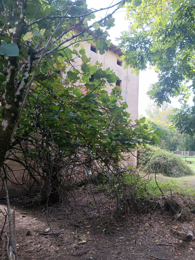 Venta de Casa con Terreno en Valle de Mena — 9