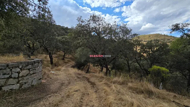 FINCA RUSTICA CON VIVIENDA — 22