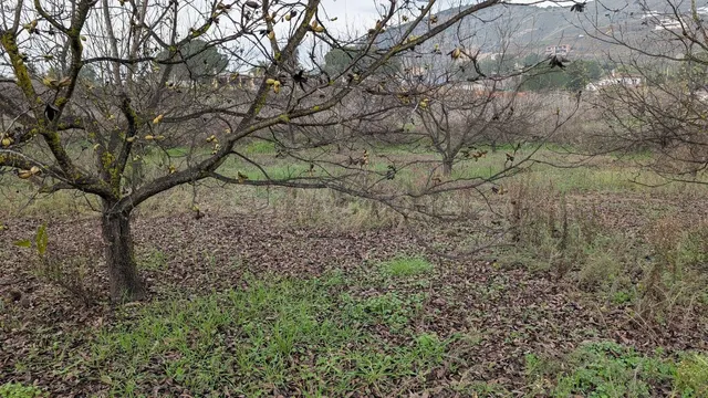 Parcela en venta - Puerto Sol-Los Almendros-El Tomillar — 5