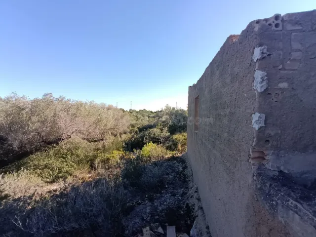 Finca rústica en venta en L’Ametlla de Mar – Gran parcela co - foto 4