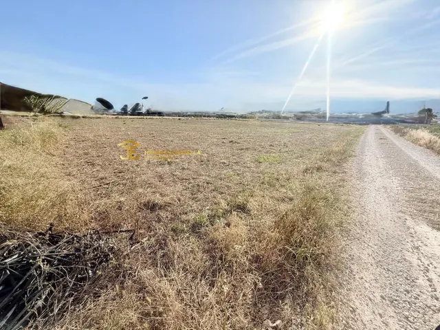 PARCELA EN CAMPILLO A 1,7 KM DEL GATO - foto 3