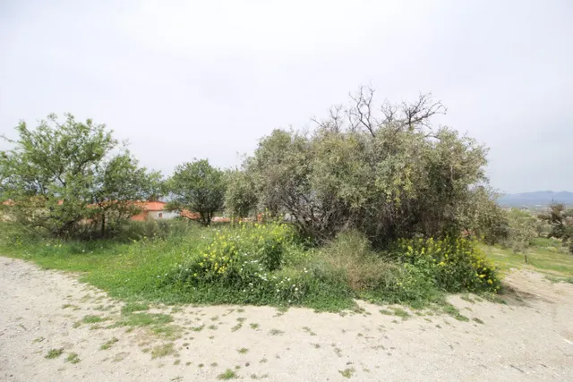 FINCA EN CORTIJO SAN JERÓNIMO (BARTODANO) — 43