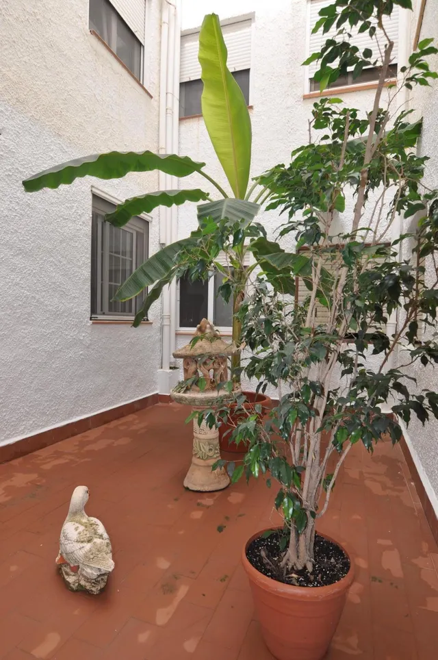 Amplio apartamento en el puerto de Jávea — 16
