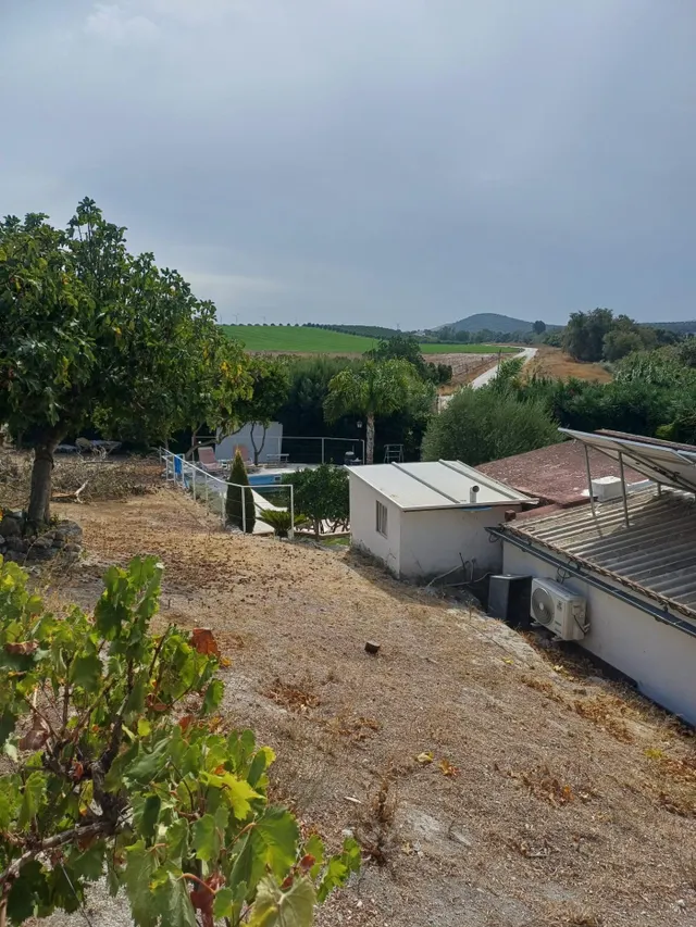 FINCA DE RECREO EN VENTA – PEDANÍA DE JEREZ — 10