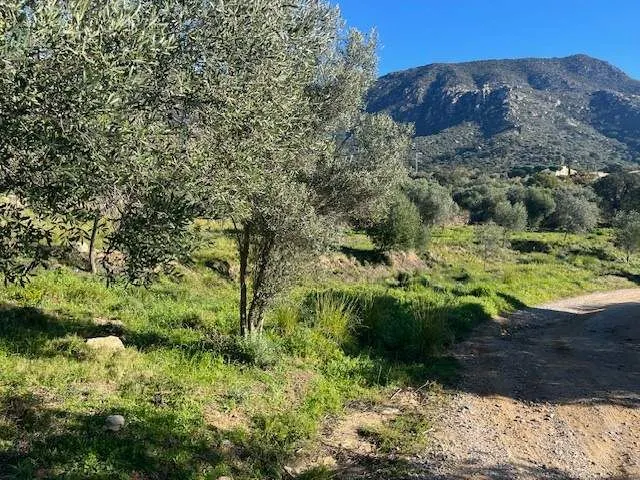 Solar para chalets en Palau-Saverdera — 8