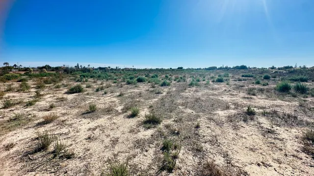 Terreno de 12.000 m2 en Perleta. — 16
