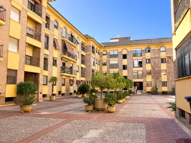 ¡Magnífico Piso en Alquiler por 11 Meses para ESTUDIANTES! — 38