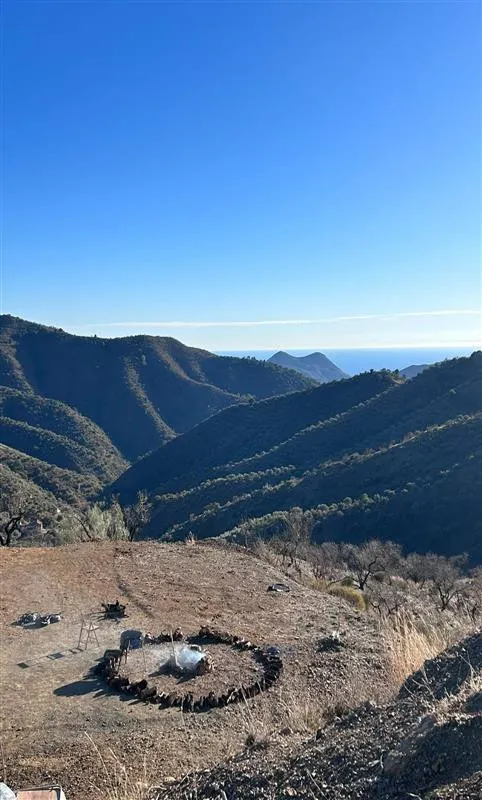 Terreno rústico de 11835 m² en Marbella para cultivo o inversión — 14