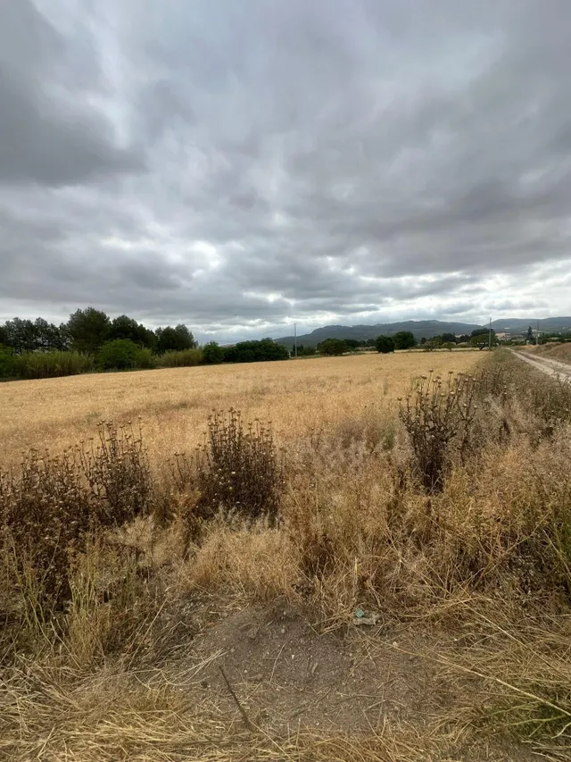 Parcela rústica de regadío de 4.055 m2 en Los Prados, Carava - foto 2