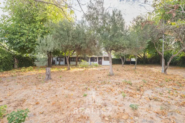Venta Las Flores – A 2 km del Circuito de Jerez — 24