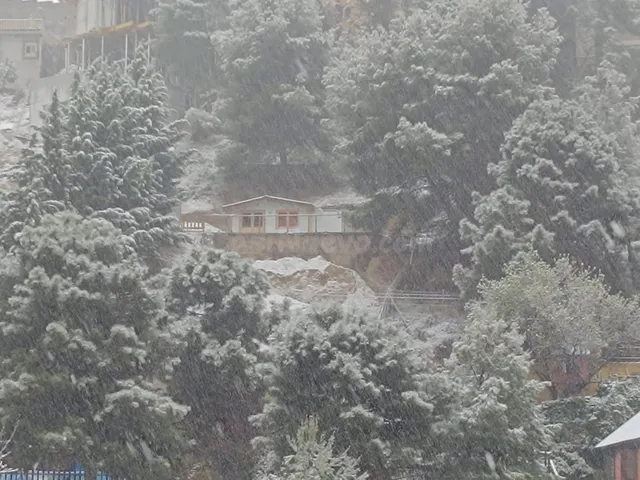 Parcela con una casita de madera en Cumbres Verdes. — 3