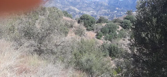 Finca rústica en zona alta de Marbella con vistas y servicios — 3
