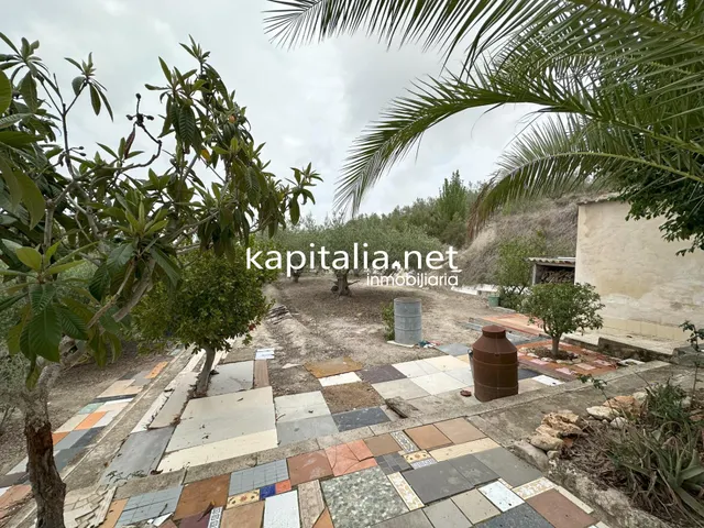 PARCELA CON CASITA A LA VENTA EN ONTINYENT — 8