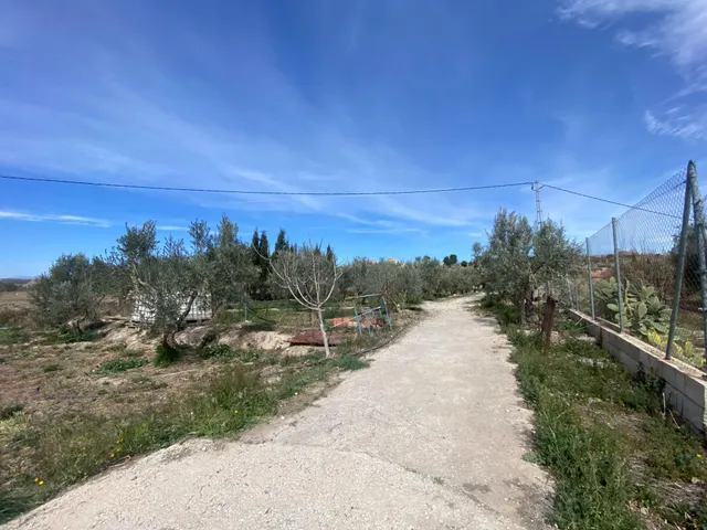 Cortijo muy cerca de pueblo de Tíjola — 15