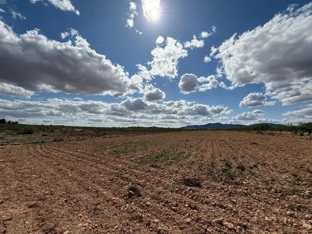 Parcela rural para la venta en Pinoso, Comunidad Valenciana - foto 4