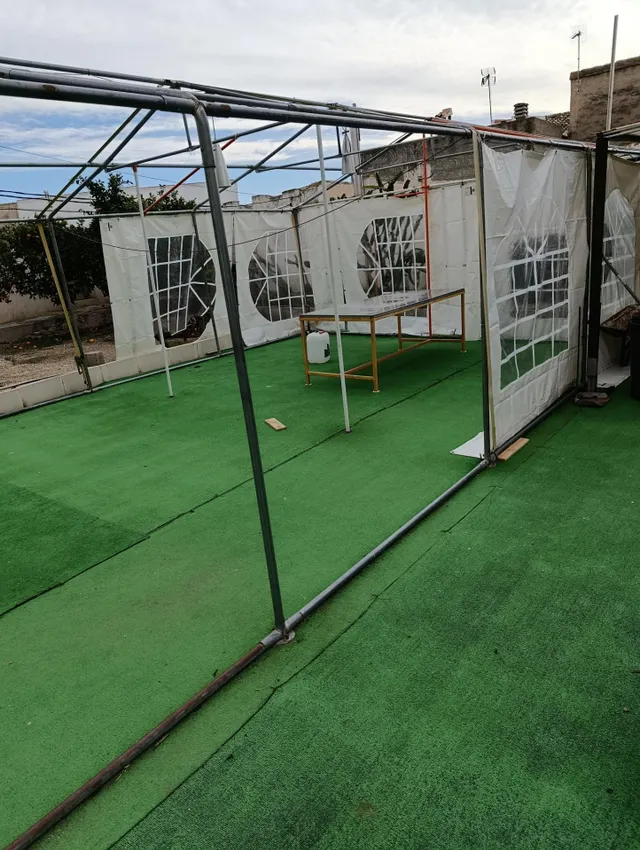 VIVIENDA CON TERRENO CENTRO MULA — 11