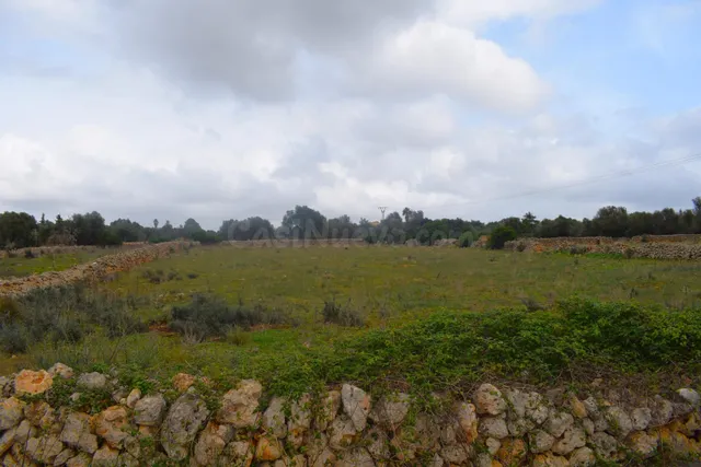 Finca rústica con posibilidad de hacer una vivienda en Santa - foto 5