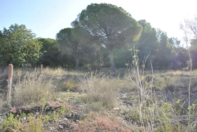 Parcela Rústica en el municipio de Cubelles, 5.560 mts2 Corral d'en Cona — 13