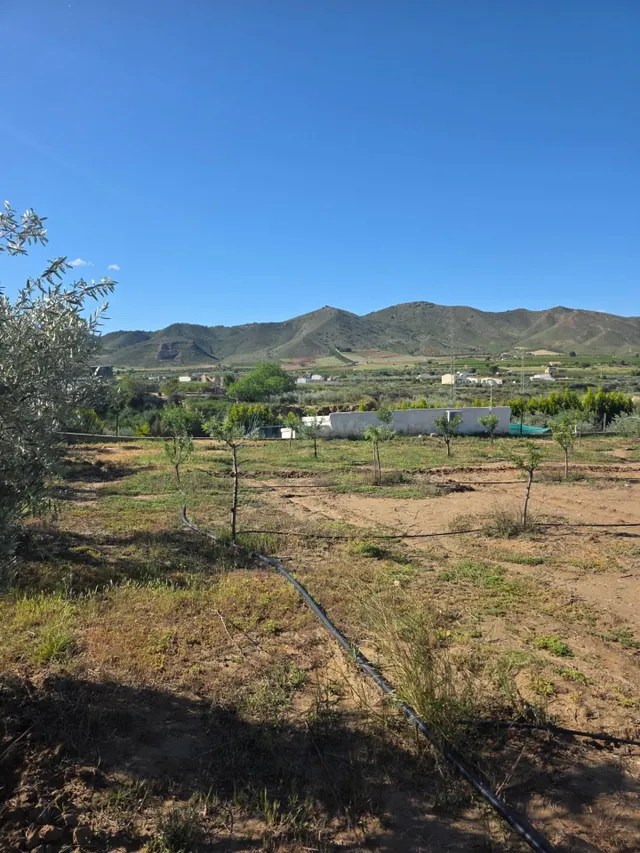 Casa con finca rústica reformada en la tranquila zona de El  - foto 5