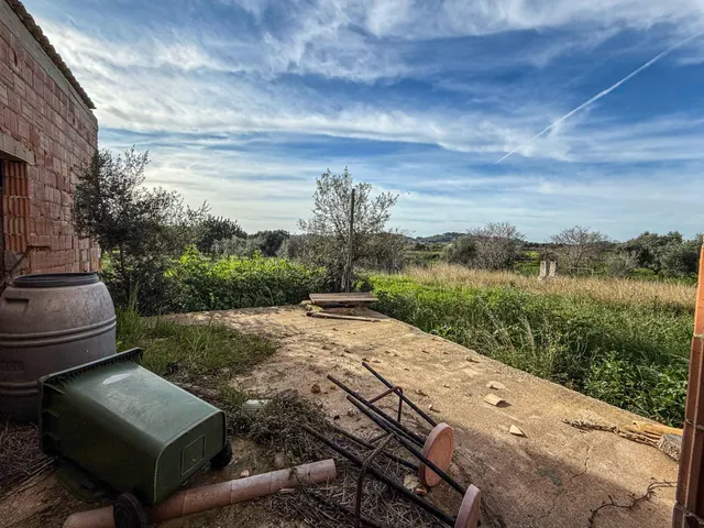 FINCA RUSTICA EN SELVA - foto 5