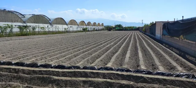 Parcela rústica en venta, llana y vallada, a solo 4,3 km de la playa de Granada — 6