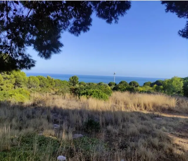 SUELO URBANO TERCIARIO EN VENTA PEÑISCOLA (CASTELLÓN) - foto 3