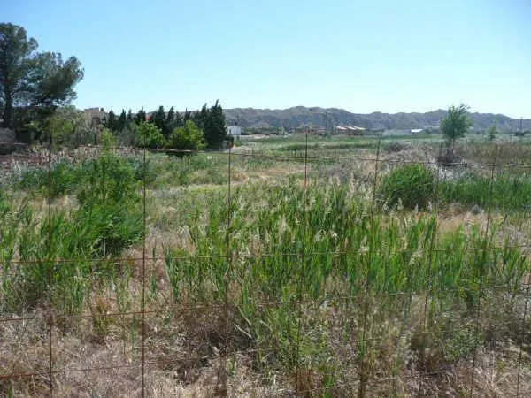 Terreno urbano en venta - Nuez de ebro