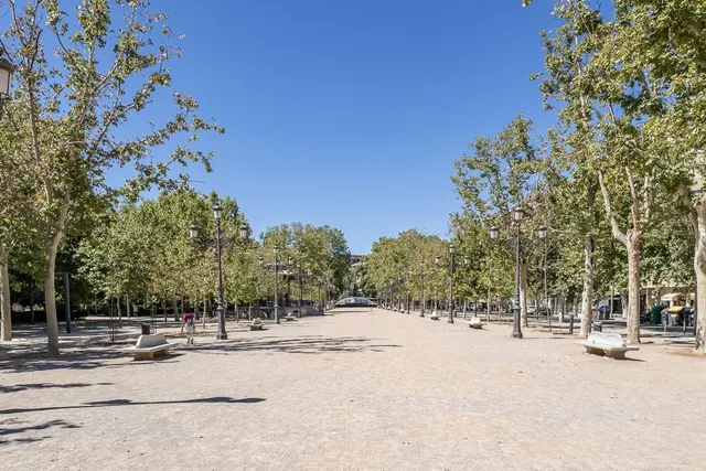 EXCLUSIVO INMUEBLE EN PLAZA DE CARRETAS, JUNTO AL EMBLEMÁTICO PASEO DEL SALÓN — 29