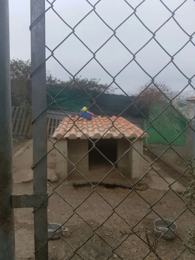 Terreno rural en venta - VALDESALOR - foto 3