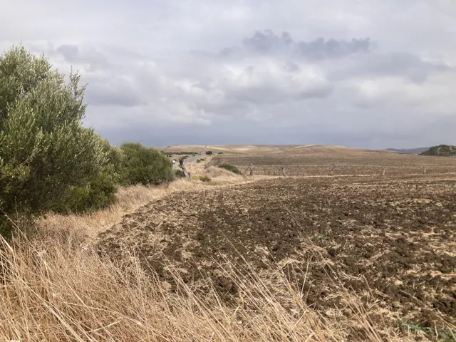 PARCELA RÚSTICA EN LA CARRETERA VEJER- EL PALMAR - foto 4