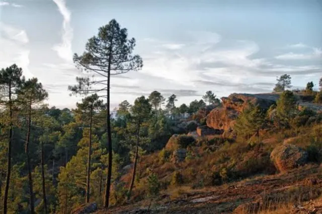 IDEAL INVERSORES - PUEBLO RUSTICO EN HENAREJOS — 12