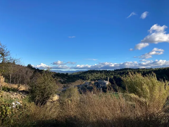 Solar en Valjunquera — 8