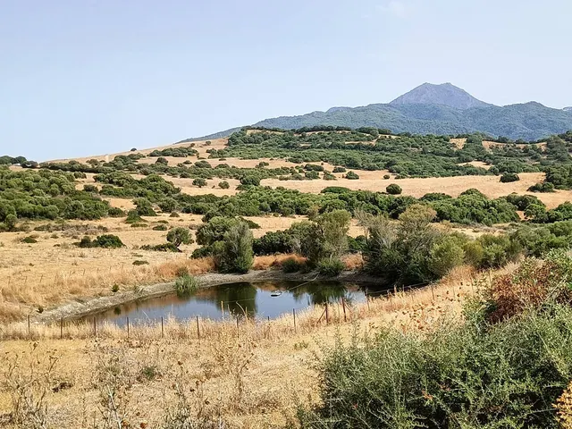 Finca Agrícola 800m² en venta - Riviera del sol — 7