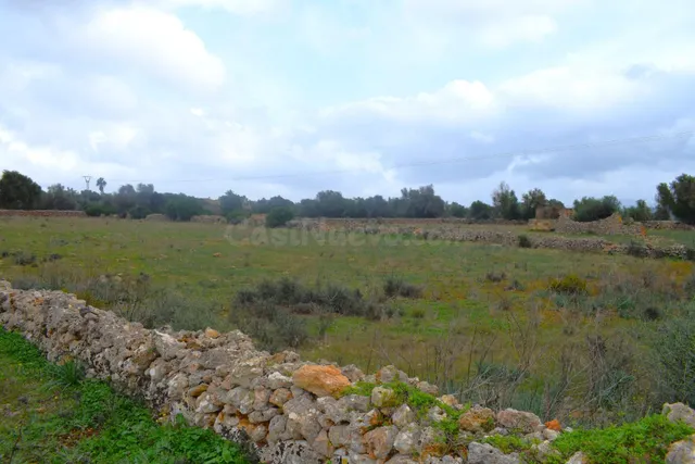 Finca rústica con posibilidad de hacer una vivienda en Santa - foto 4