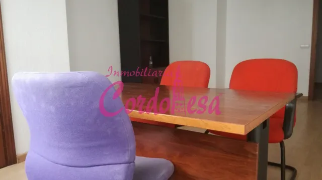 MAGNÍFICO DESPACHO JUNTO A CORTE INGLES — 3