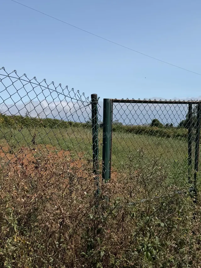 Finca con gran potencial agrícola en El Ortigal - foto 4