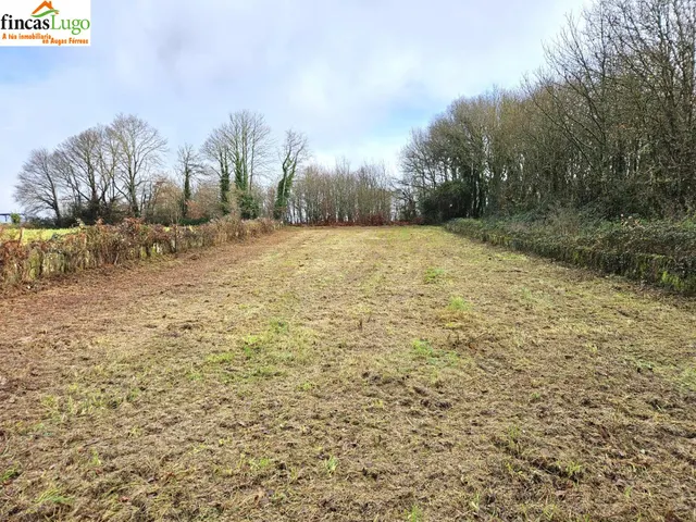 FINCA URBANIZABLE DE 1088m EN LUGO - foto 5