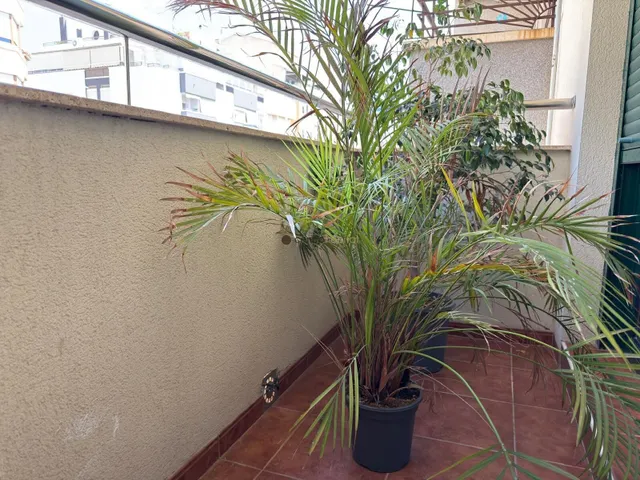 Espectacular piso en Gran Avenida Elda — 14