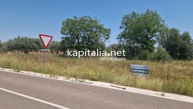 Venta de parcelas en Palomar — 6