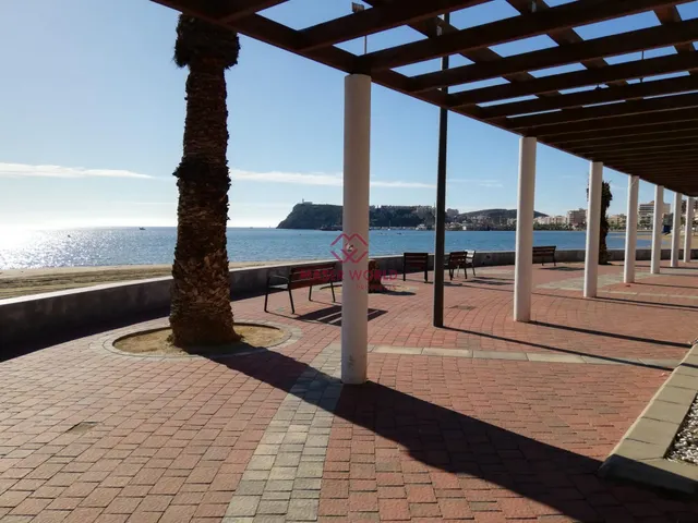 CÉNTRICO Y ESTUPÉNDO PISO DE 3 habitaciones A 400M DEL PASEO MARÍTIMO — 25