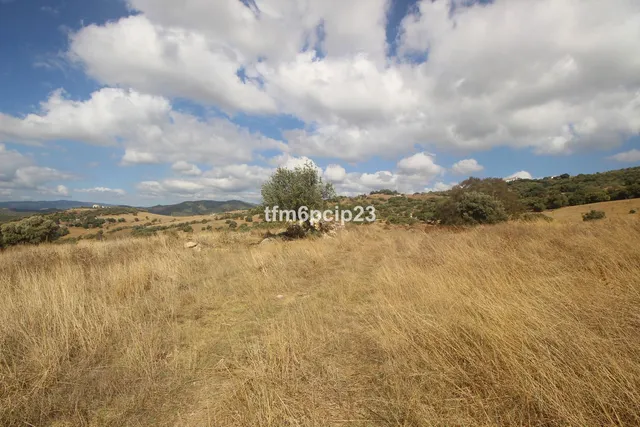 Finca rústica de 37.570 m² en Casares, Costa del Sol — 7