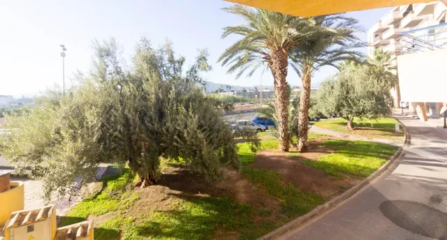 Oportunidad de Inversión en Orihuela: Entresuelo a Reformar por €60,000 — 5