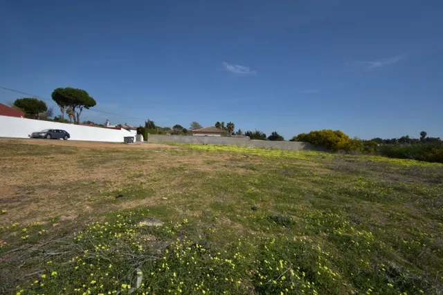 PARCELA DE 2442 M2 EN PINAR DE LOS FRANCESES - foto 2