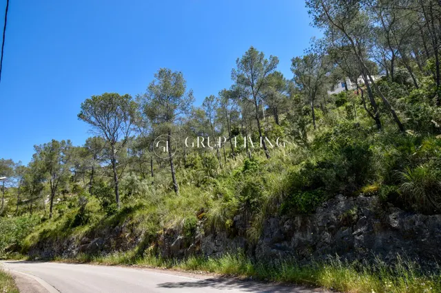 TERRENO EN MAS MESTRE, OLIVELLA — 6