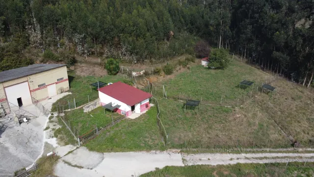 4 Naves, 21.000 m2 de Finca y Casa de 5 habitaciones en Serín, Gijón — 50